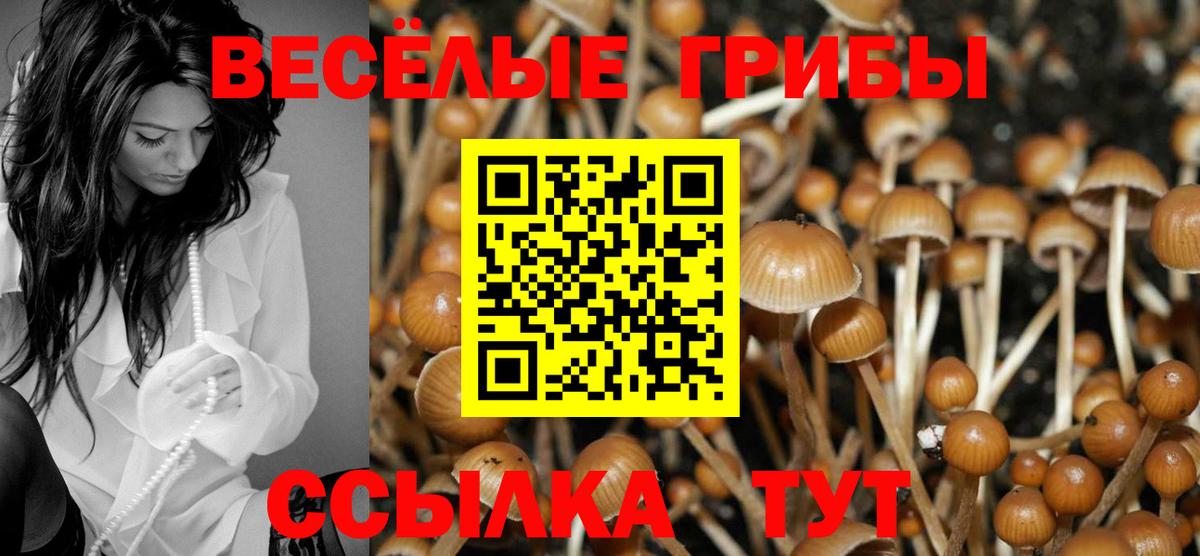 Псилоцибиновые грибы прущие грибы  Вход с VPN  наркошоп  Среднеуральск 